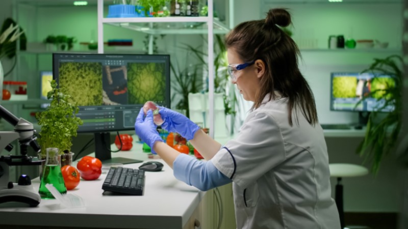 الإرشاد المهني للوظيفة تكنولوجي الأغذية