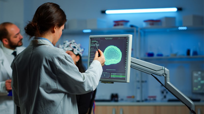 Career guidance for a position Brain researcher