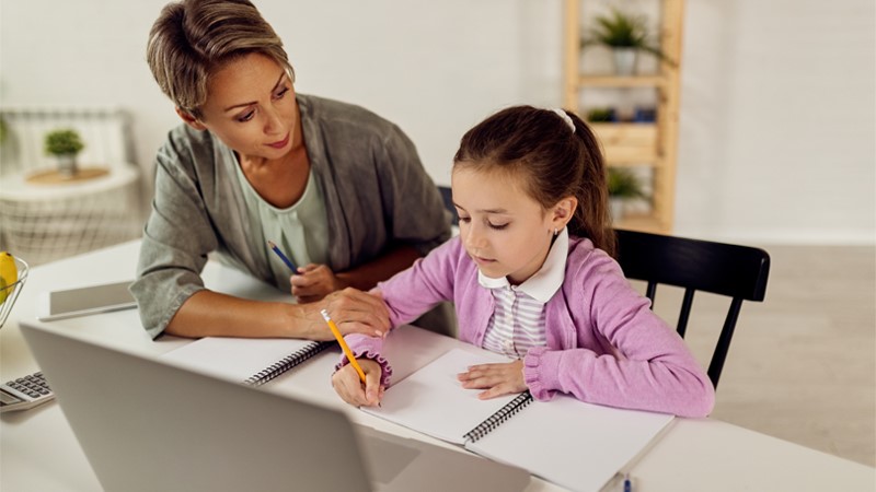 Career guidance for a position Private teacher