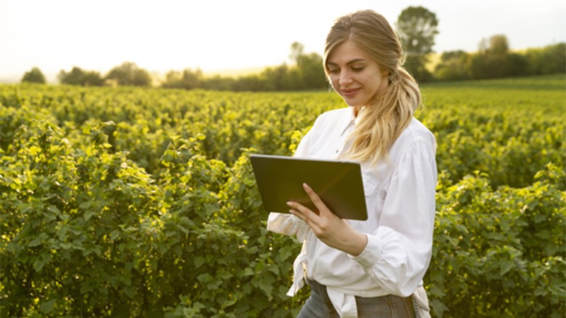 Career guidance for a position Agronomist