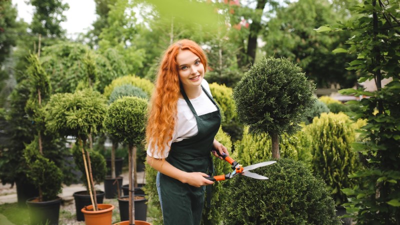 Career guidance for a position Landscape gardener