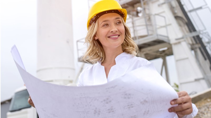 Career guidance for a position Director of the Construction Licensing Division