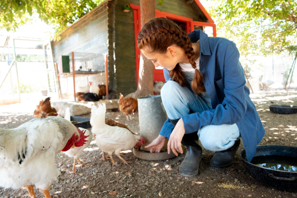 Профориентация для должности работник с животными