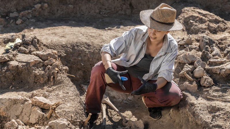 Career guidance for a position Archeologist