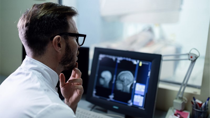 Career guidance for a position Brain researcher