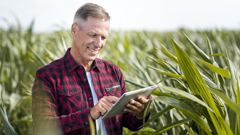 Career guidance for a position Agronomist