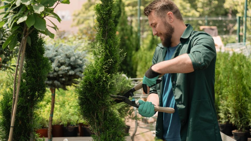 الإرشاد المهني للوظيفة بستاني المناظر الطبيعية