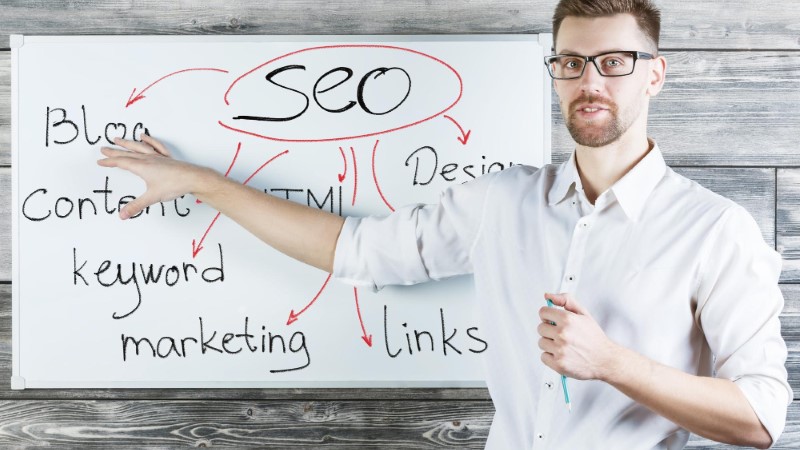Career guidance for a position SEO Expert