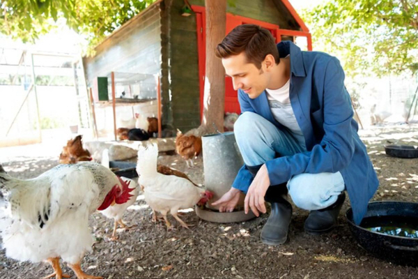 Career guidance for a position Animal Worker