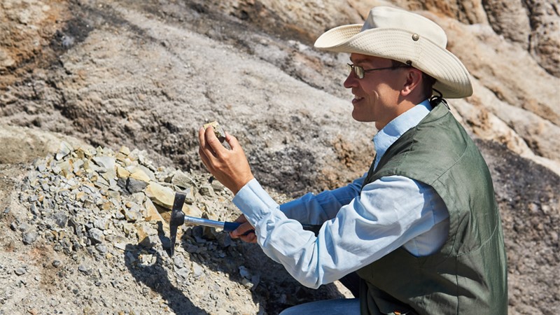 Career guidance for a position Archeologist