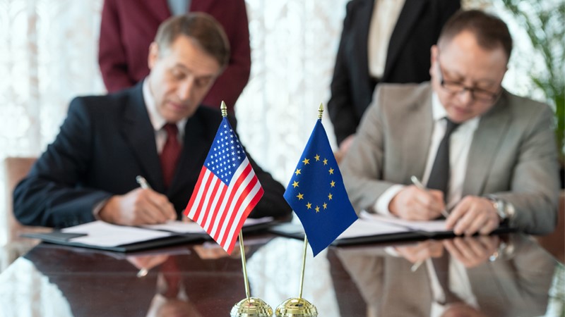 Career guidance for a position Diplomat