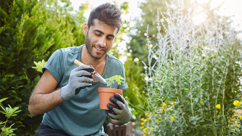 Профориентация для должности натуропат