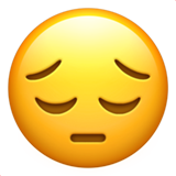 משוב על הכוונה מקצועית